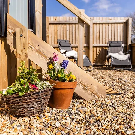 Bluebell Hut Apartament